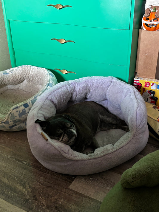 relaxed angus sticker