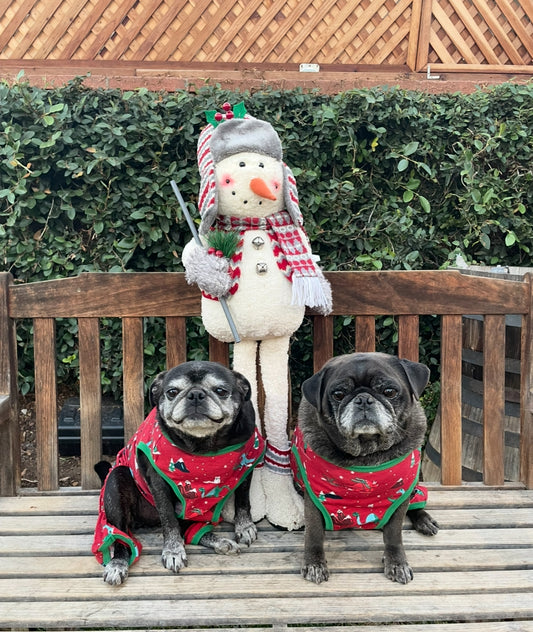 queen olive sticker #LLO