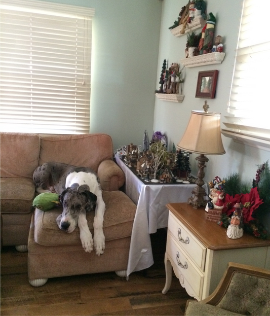 tucker in bean t-shirt sticker #LLT