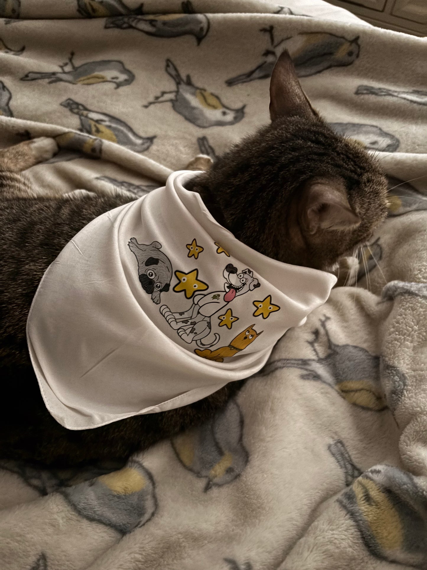 tucker and crew dog bandana