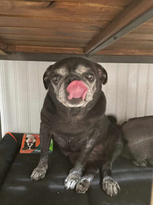 og olive sticker #LLO 🫒