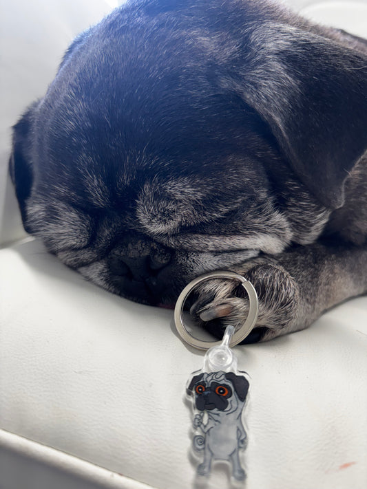 dynamic duo keychain pack