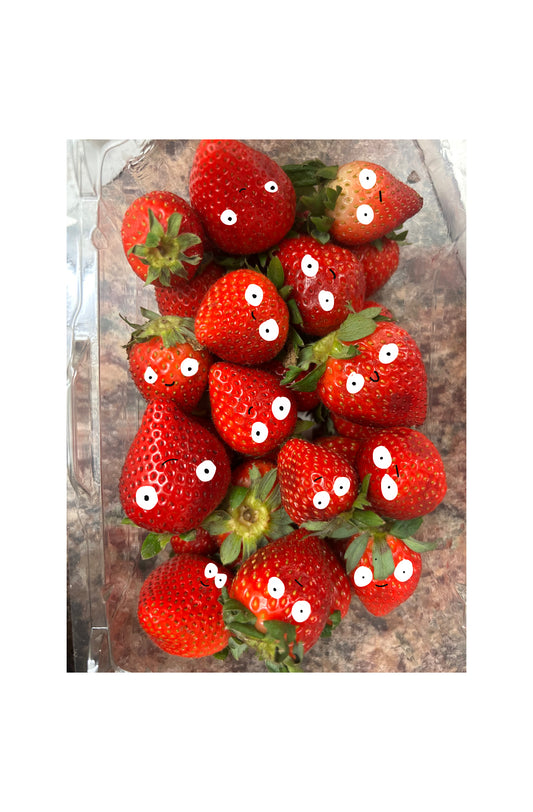 berry bros sticker 😎