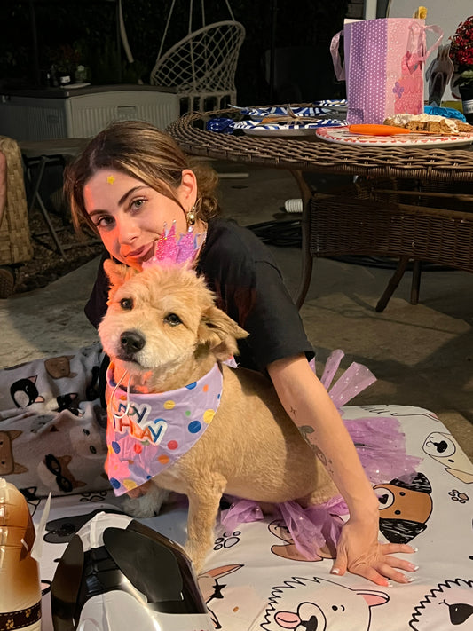 birthday princess willow sticker ( special edition )