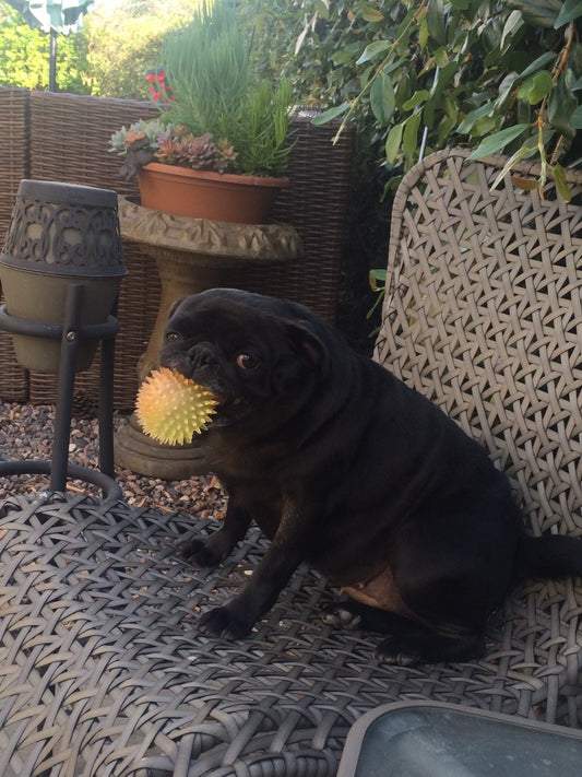 relaxed olive sticker 🫒