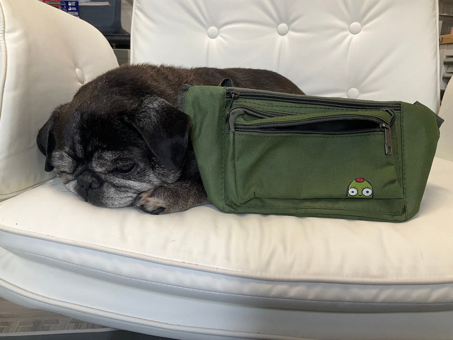 peak a boo olive fanny pack