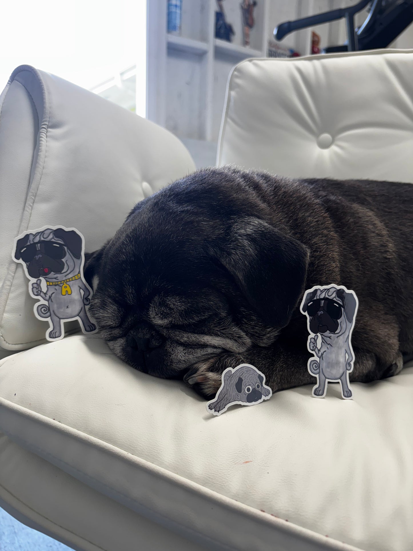 big bANG sticker pack (3 pieces)