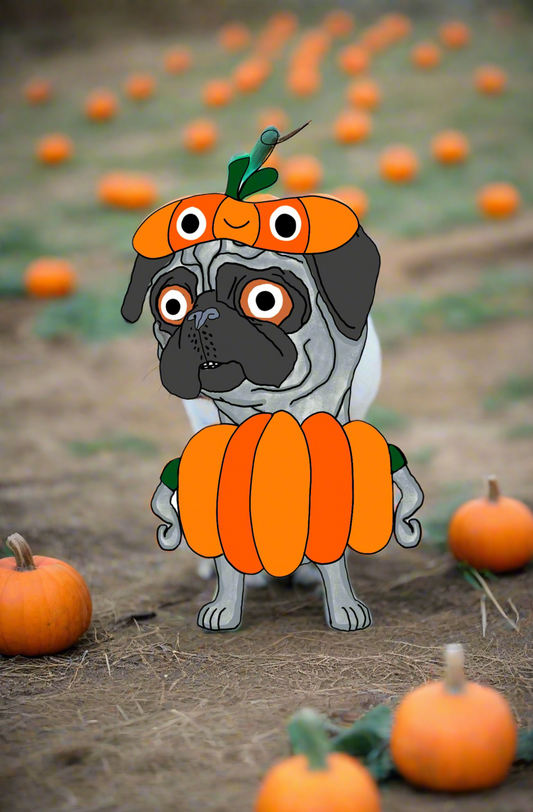 angus pangus pumpkin sticker (limited edition)