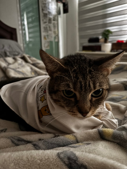tucker and crew dog bandana