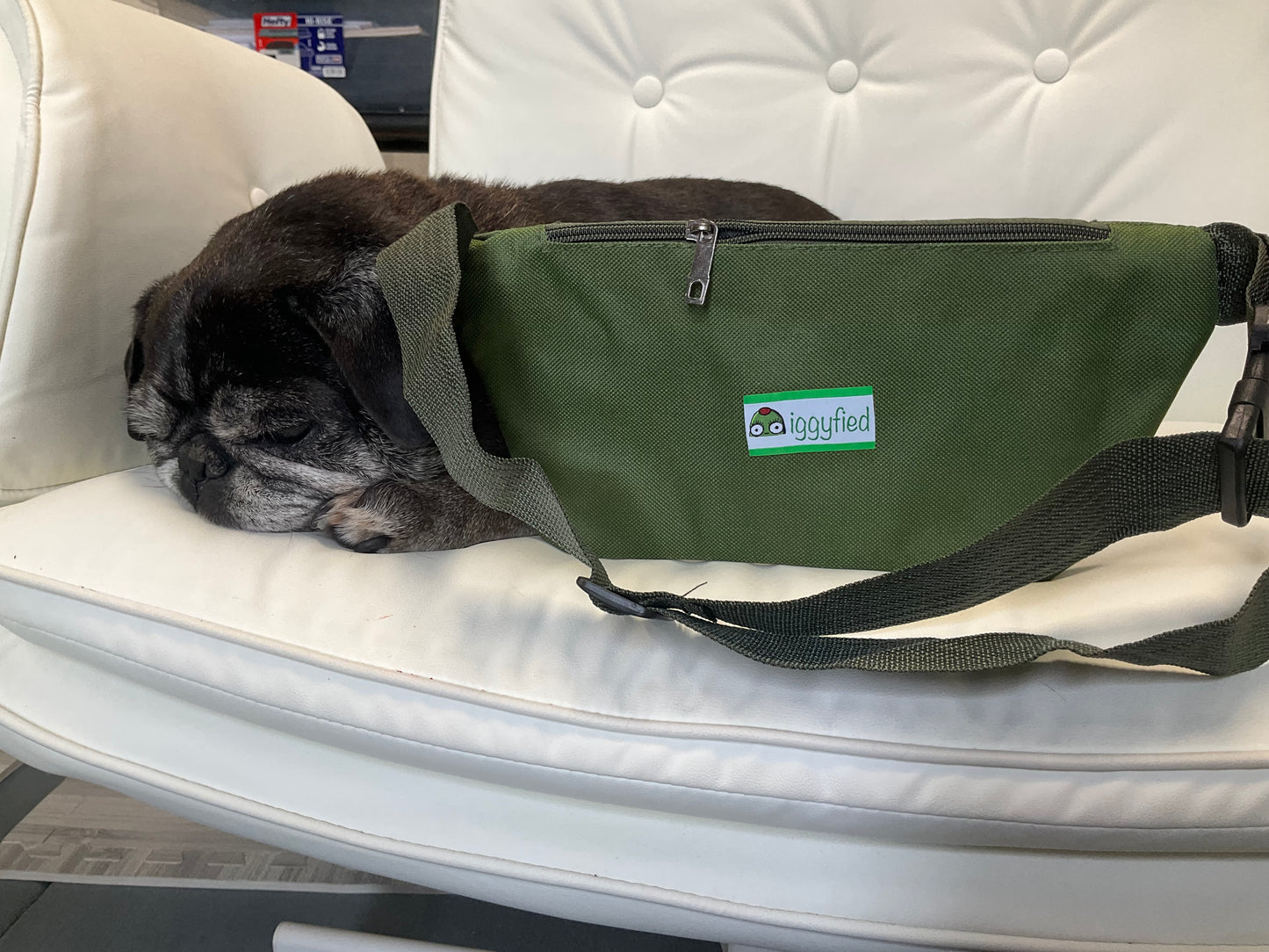 peak a boo olive fanny pack