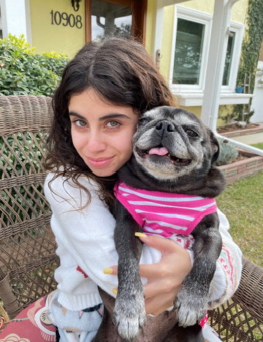 limited edition valentine’s day olive sticker 💗💝💕💞💓💘