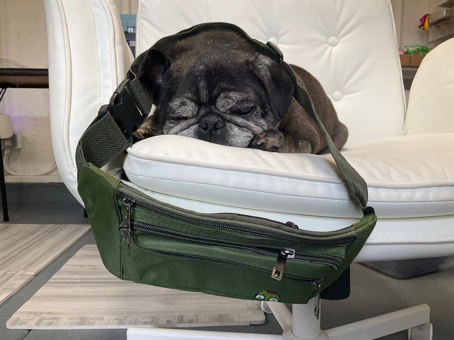 peak a boo olive fanny pack